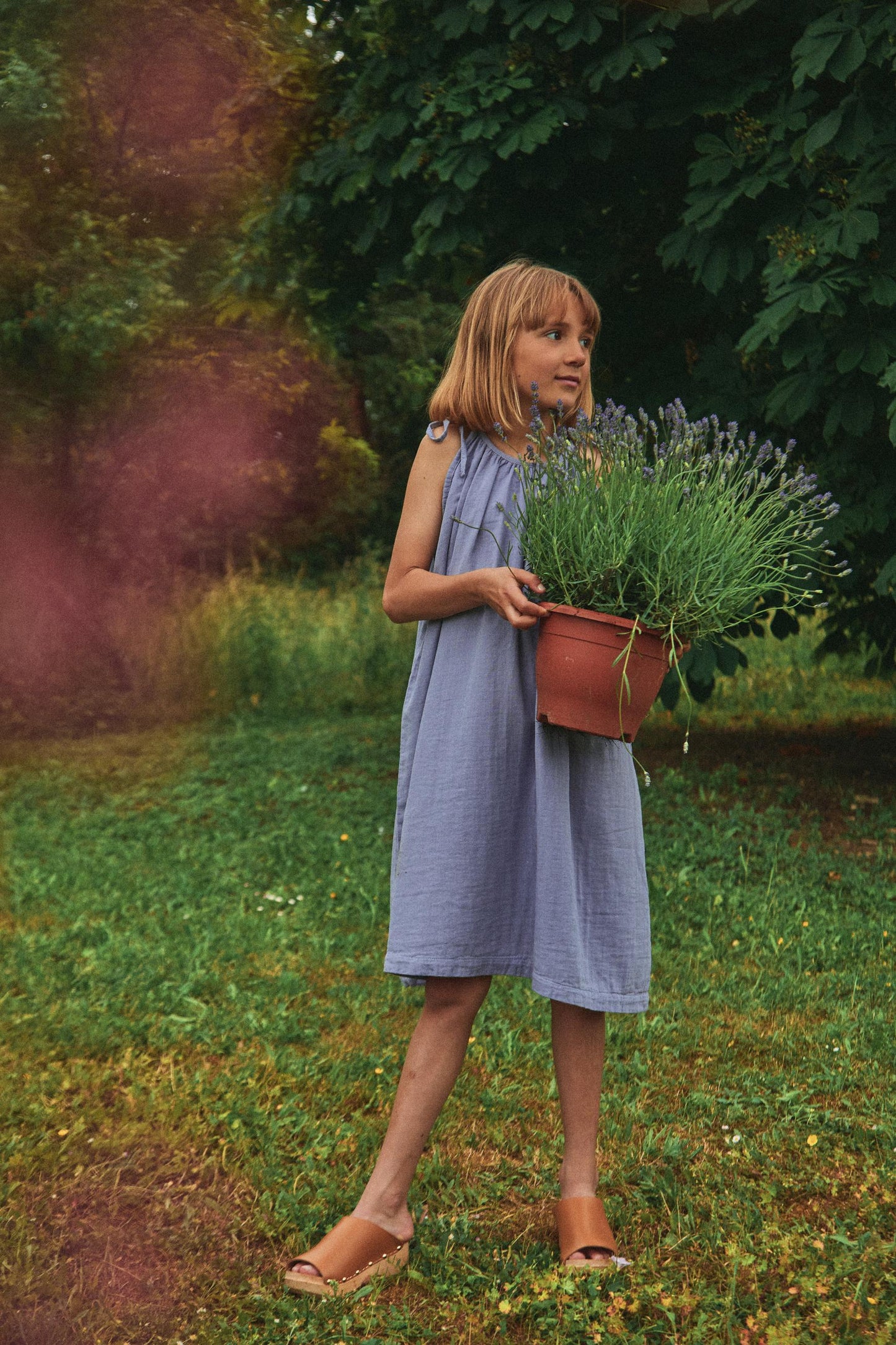 Kleid Santoline aus Bio-Baumwolle, Lavender Aura